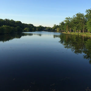 Meet your Posher, Zuzana